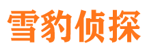 进贤寻人公司